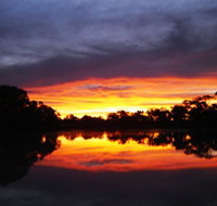 Thomson River - Accommodation Australia