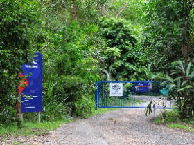 Carrington QLD Accommodation Australia