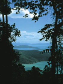 Whitsunday Great Walk - Accommodation Australia 0