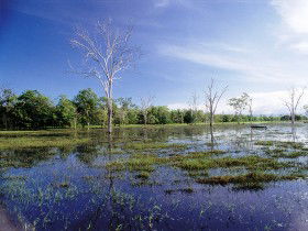 Tyto Wetlands - Bed n Breakfasts 0