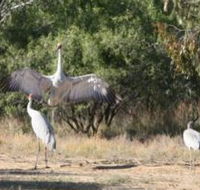 Bulloo River Walk - Bed n Breakfasts