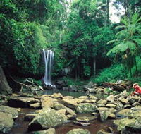 Tamborine National Park - Local Tourism