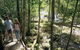 The Pioneer Valley - thumb 0