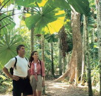Licuala State Forest - Local Tourism