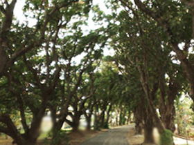 Eimeo QLD Local Tourism