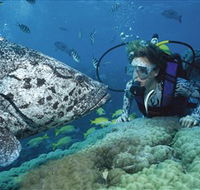 Pelorus Island - Local Tourism
