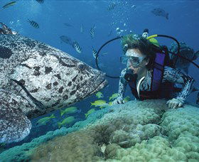 Pelorus Island - Local Tourism 0