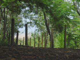 Toomulla Beach - Local Tourism 0