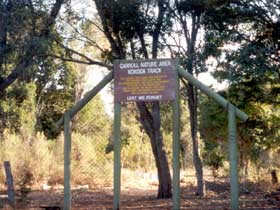 Carroll Nature Reserve Kokoda Track - Accommodation Australia 0