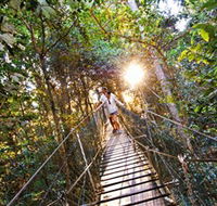 Tree Top Walkway - Local Tourism