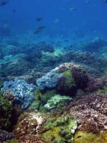 Bargara QLD Australia Shopping