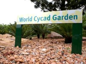 Anderson Park Botanic Gardens - Australia Shopping 0