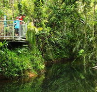 Djiru National Park - Local Tourism