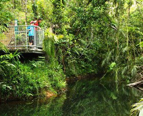 Djiru National Park - Accommodation Australia 0