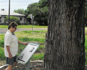 Augathella Kenniff Tree - Accommodation Australia 0