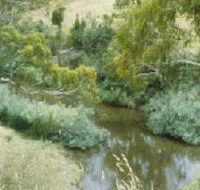 Yarrambat Park - Accommodation Australia