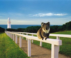 Cape Otway Lightstation - Accommodation Australia 0
