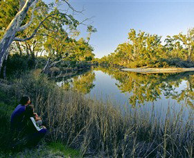 Little Desert National Park - Accommodation Australia 0