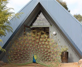 Halls Gap Zoo - Accommodation Australia 0