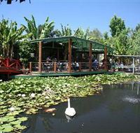 Blue Lotus Water Garden - Local Tourism