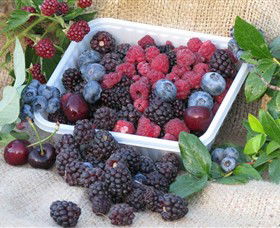 Bright Berry Farms - Accommodation Australia 0