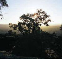 Yarra Flats - Accommodation Australia
