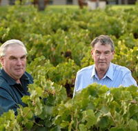 Campbells Wines - Accommodation Australia