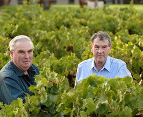 Campbells Wines - Accommodation Australia 0
