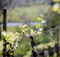 Phaedrus Estate - Accommodation Australia