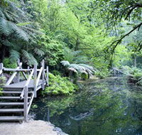Alfred Nicholas Gardens - Local Tourism