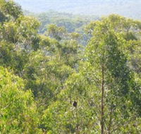 Bunyip State Park - Local Tourism