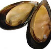 Sea Bounty - Local Tourism