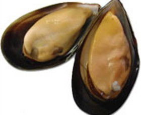 Sea Bounty - Accommodation Australia 0
