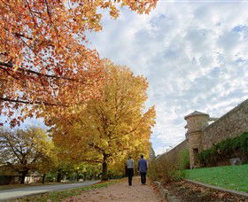 Beechworth Historic Park - Accommodation Australia 0