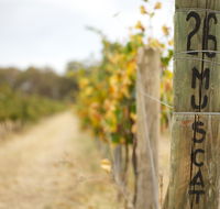 Stanton and Killeen Wines - Accommodation Australia