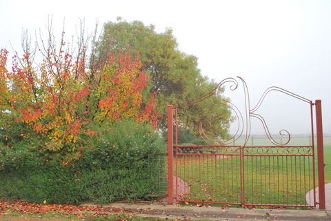 Stanton And Killeen Wines - Australia Shopping 4