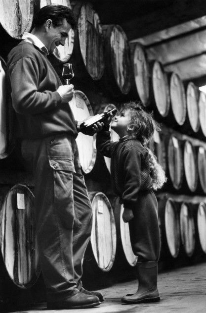 Stanton And Killeen Wines - Australia Shopping 11