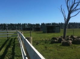Saddle On Riding School - Accommodation Australia 6
