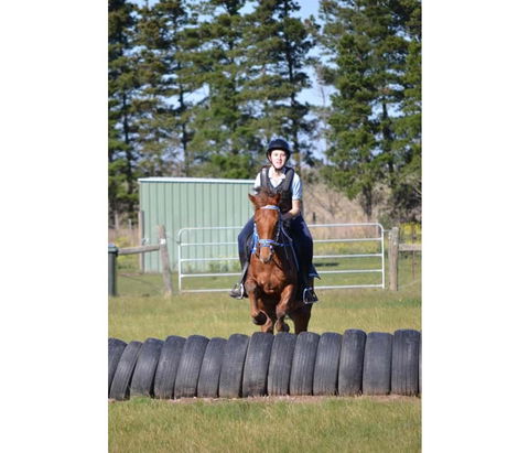 Saddle On Riding School - Accommodation Australia 9
