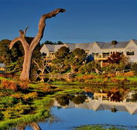 The Minya Vineyard  Winery - Local Tourism
