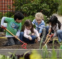 The Ian Potter Foundation Children's Garden - Local Tourism