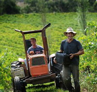 Kellybrook Winery  Kelly Brothers Cider - Local Tourism