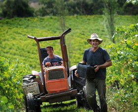 Kellybrook Winery & Kelly Brothers Cider - Local Tourism 0