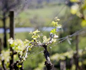 Coldstream Hills - Accommodation Australia 0