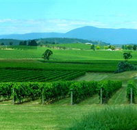 Acacia Ridge Vineyard - Local Tourism