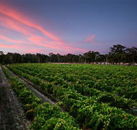 Amherst Winery - Local Tourism