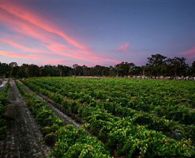 Amherst Winery - Local Tourism 0