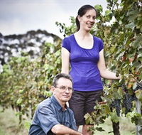 Anderson Winery - Accommodation Australia