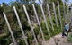 Herring Island Environmental Sculpture Park - thumb 0