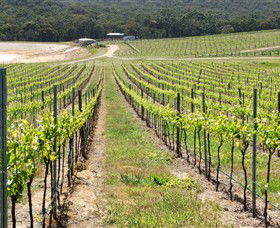 M Chapoutier Australia - Local Tourism 0